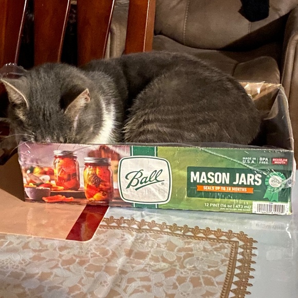 Meet your Posher, Meli! - Picture 9 of 13